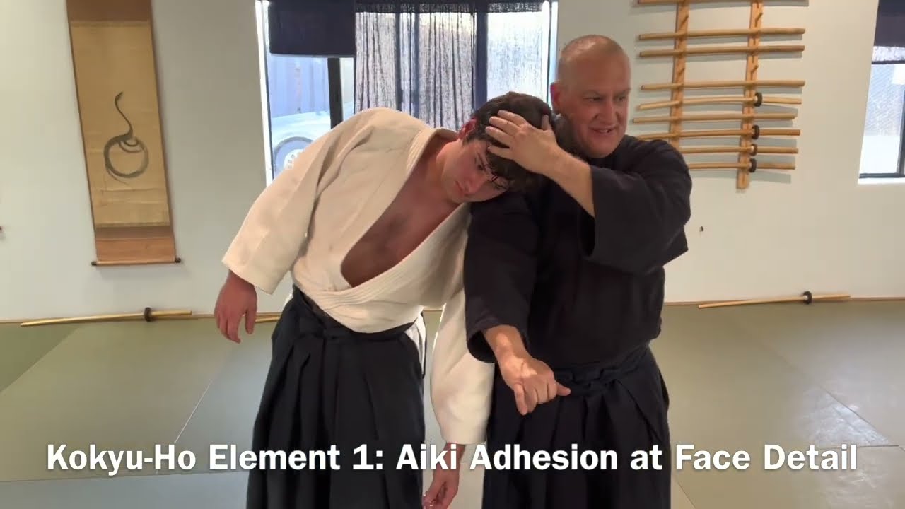 Aikido: 