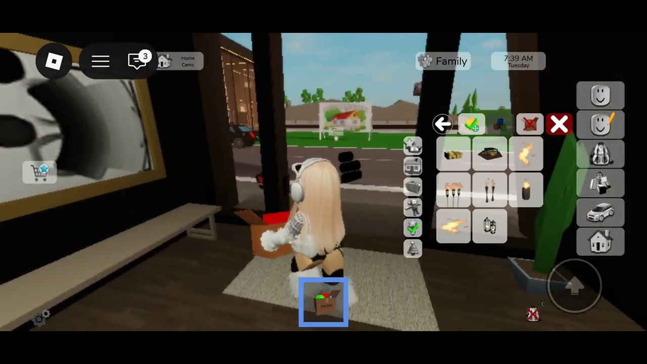 Messing up people's houses in brookhaven-Roblox