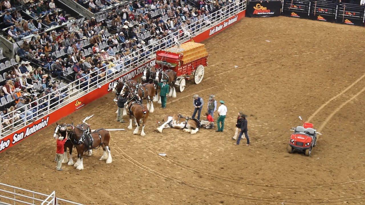 Авария фургона Budweiser на SA Rodeo 2023
