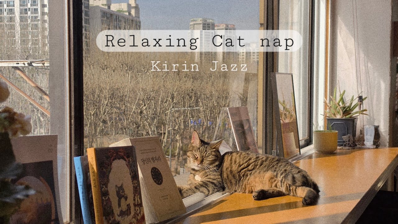 [ Kirin Jazz ] 피곤할 때 듣는 힐링 감성 재즈 🎵| 힐링이 되는 재즈 음악 | Relaxing Jazz Playlist