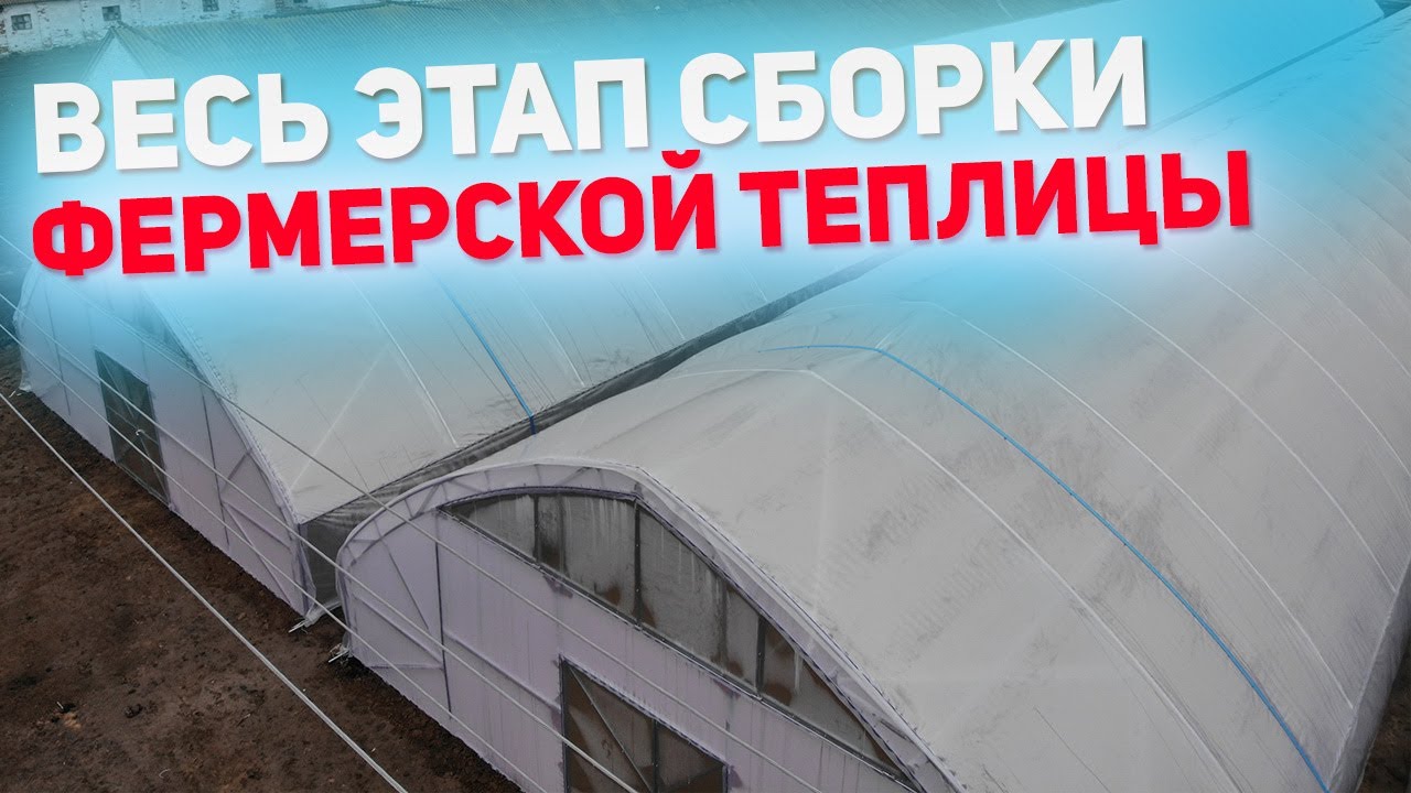 Как построить фермерскую теплицу: от фундамента до накрытия
