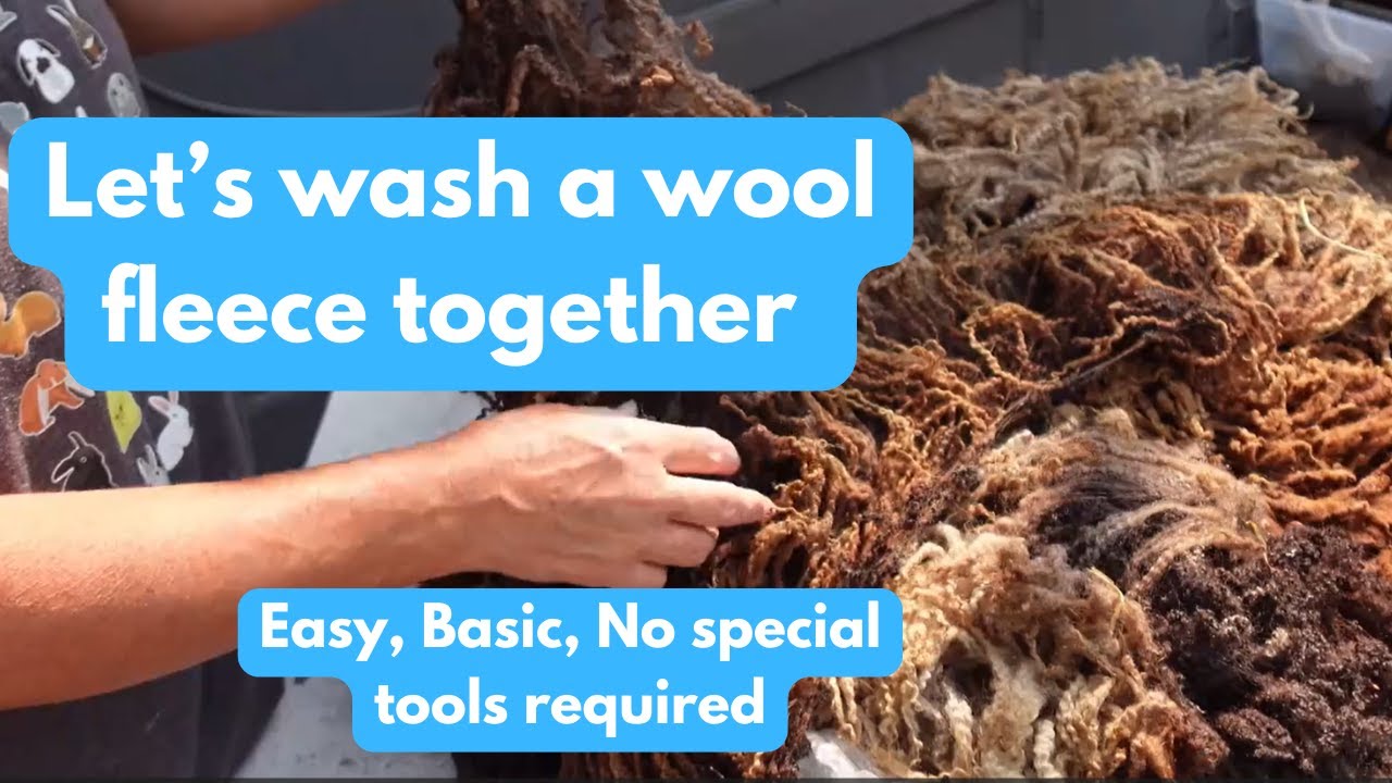 Let's clean a wool fleece together with basic equipment so I can spin some fluffy corespun art yarn
