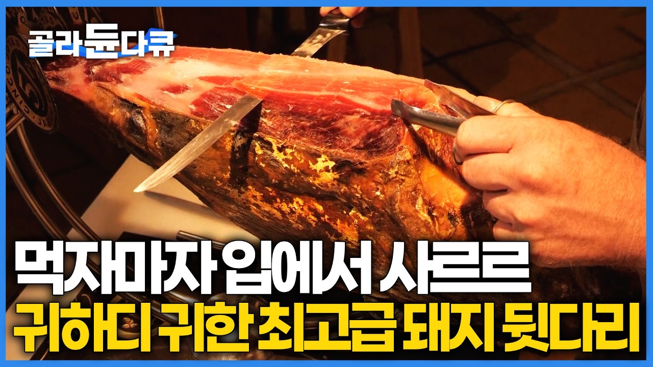 유명 셰프들도 사기 힘들다. 무려 5년이나 숙성시키는 최상위 프리미엄 블랙 라벨 하몬｜전 세계에서 가장 값비싼 돼지 가공품｜다큐프라임｜#골라듄다큐