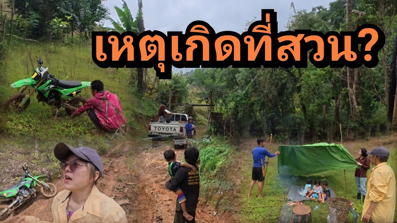 1 วันพันเหตุการณ์!!! พาเด็กๆไปปิกนิก โซ่หลุดวรวิชมาดูรถ พี่เต๋ามาตัดหญ้าที่สวนทุเรียน