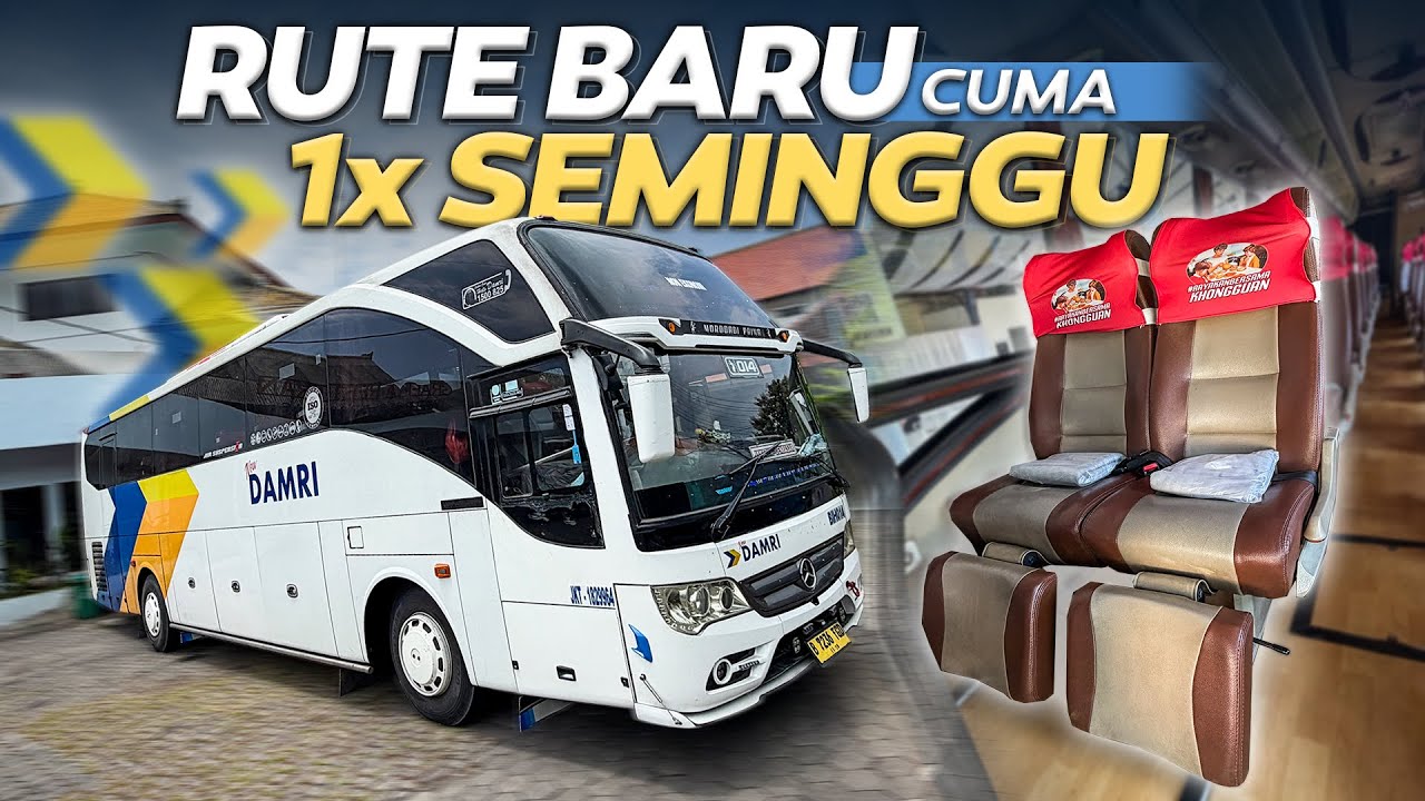 RUTE BARU , CUMA 1X SEMINGGU ‼️ Trip Bus Damri Jakarta - Denpasar Part1.