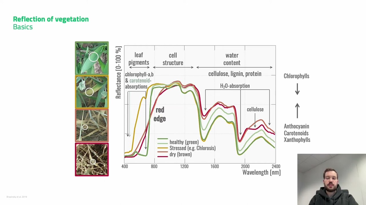 some applications of Hyperspectral Imaging.