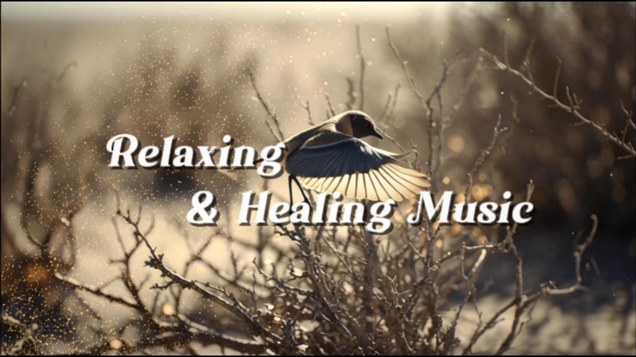 Relaxing Music for Sleep & Focus | Calm Your Mind, Study with Birds