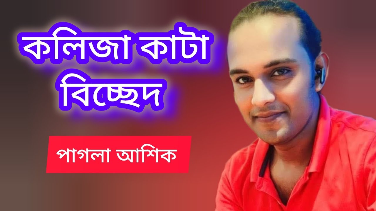 সারা জীবনের ভুল পরেছে মনে।। পাগলা আশিক।। Pagla Ashik