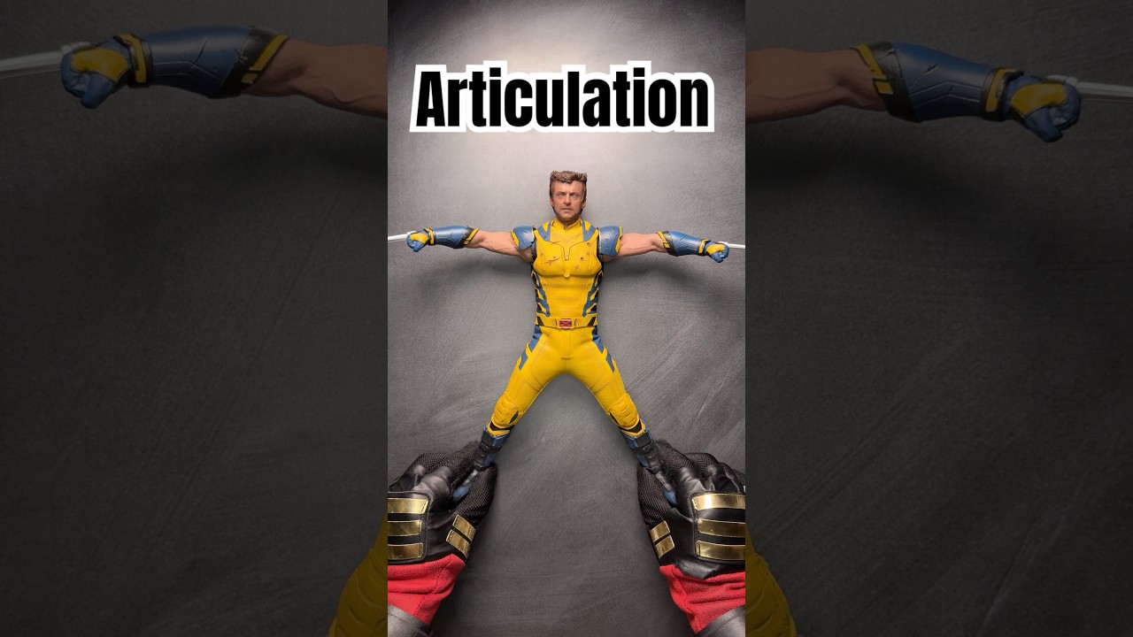 Hottoys wolverine Articulation #articulation #marvel #wolverine #deadpoolandwolverine #figure