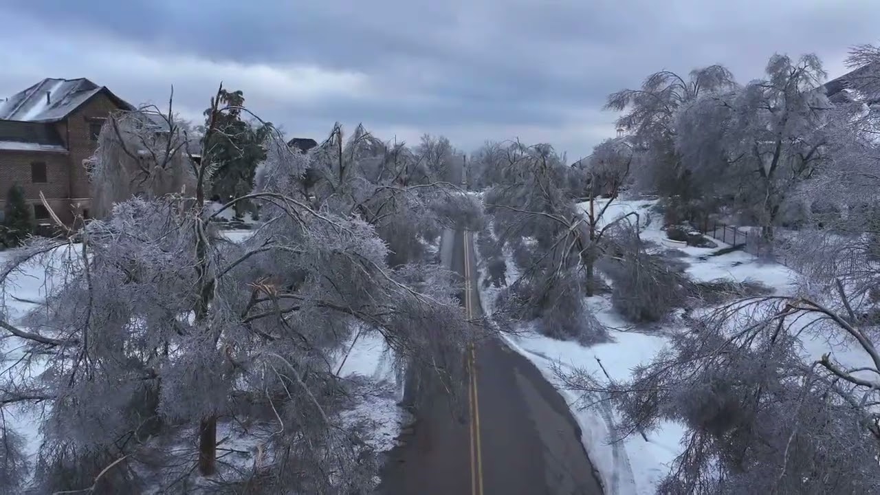 Ice Storm Devastation in Nashville’s Annandale Subdivision