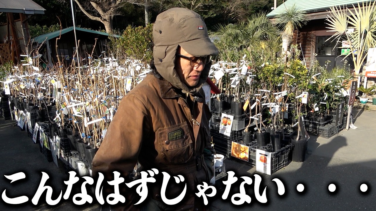 【異常気象】急な大寒波で植物に大ダメージ！？【カーメン君】【園芸】【ガーデニング】