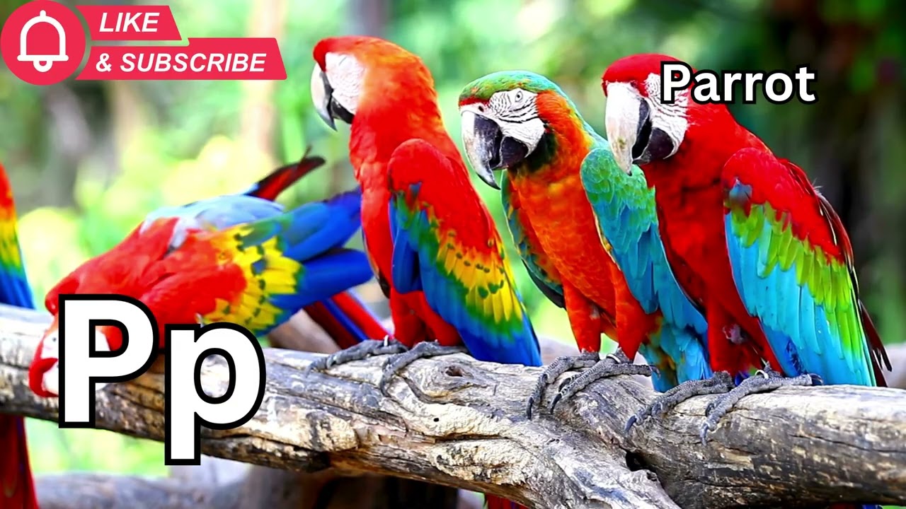 ABC Animal Phonics Song for Kids | Learn Letters A–Z with Common Animals|Preschool/Toddler Learning