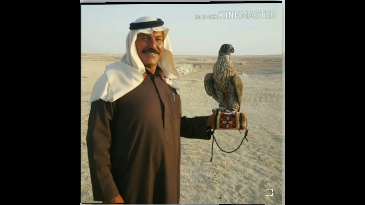 الفنان سعيد أبومعيتق... فتى الجنوب(يا ديرتي سكانكي وين لقو)❤❤🎵🎵#ـتصميم#ابومشاري #المعاتقه