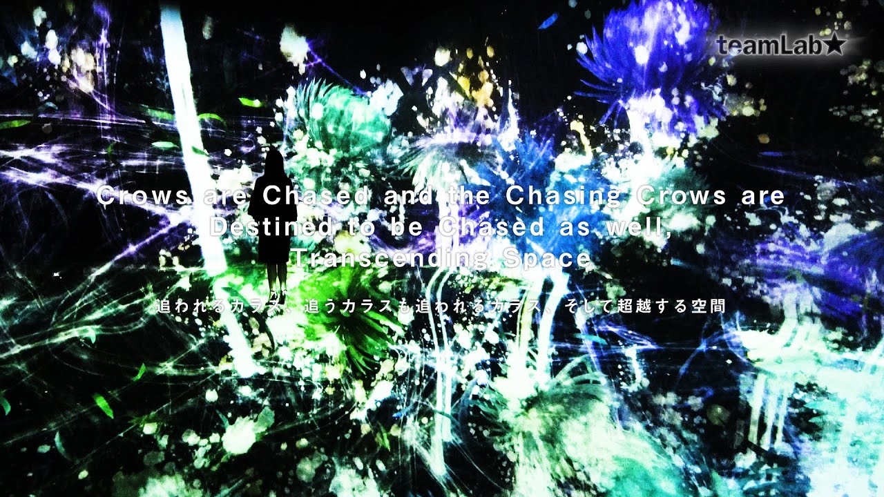 Crows are Chased and the Chasing Crows are Destined to be Chased as well, Transcending Space