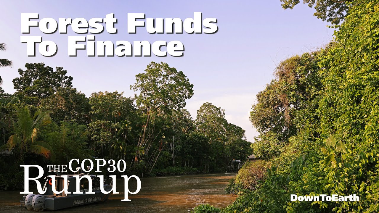 COP30 Brazil Negotiations | From Forest Funds to Finance Flows