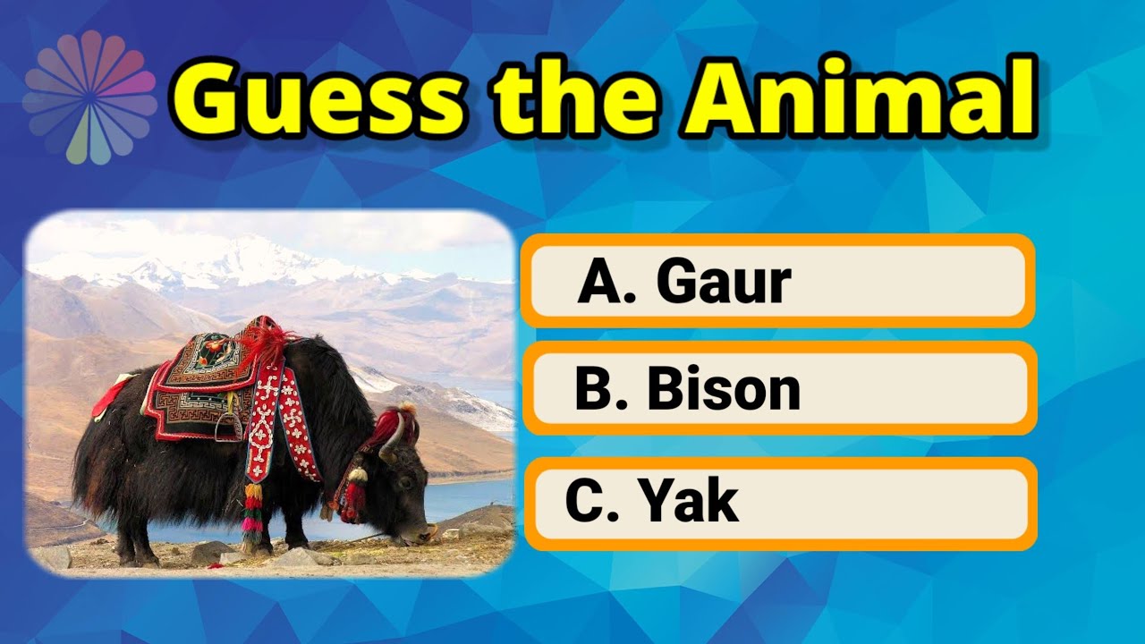 Guess the Animal | Have you know the Animals | Animal Quiz Guessing
