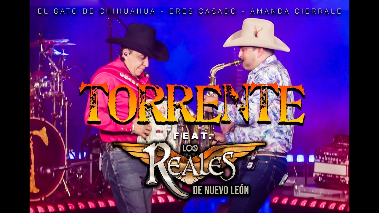 Torrente ft. Los Reales de N.L. - El Gato de Chihuahua, Eres Casado y Amanda Cierrale