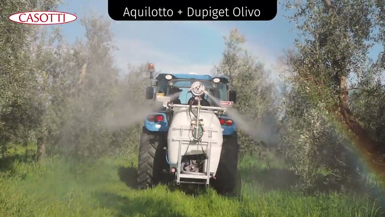 CASOTTI - Aquilotto + Dupiget Olivo su impianto completo