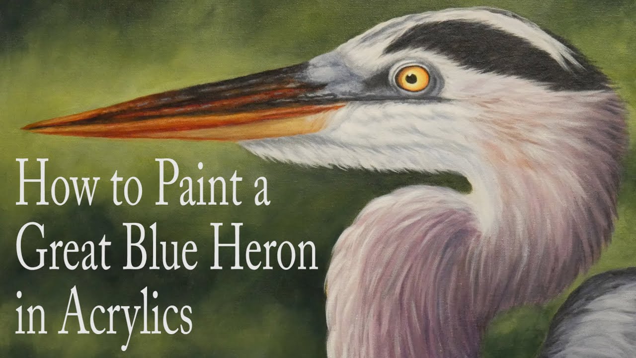 How to Paint a Great Blue Heron in Acrylics