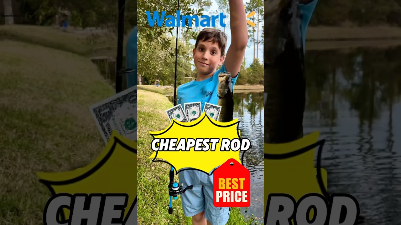 How to Catch a Big Bass with the Cheapest tiny Fishing Rod from Walmart!  #kidfishing #fishing