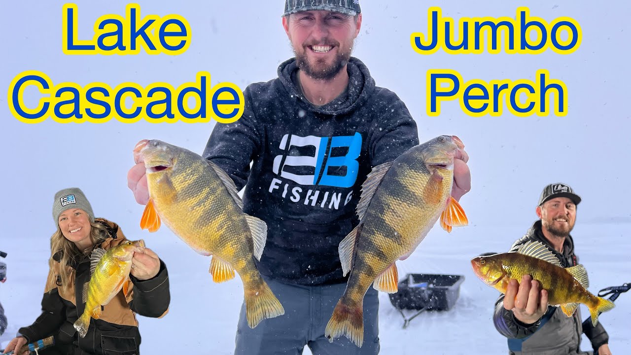 Lake Cascade Ice Fishing Jumbo PERCH, Early Ice. (Constant Action)