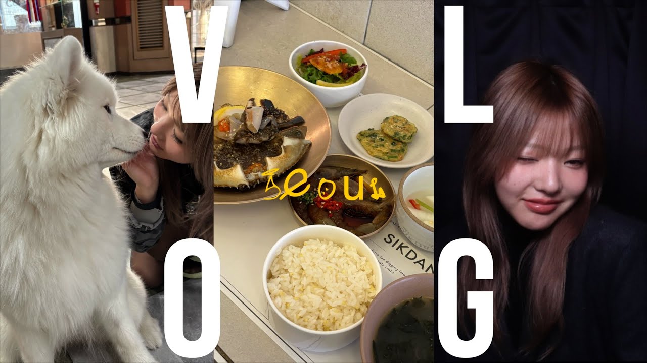 爆買い爆食い韓国旅行VLOG👢🍲