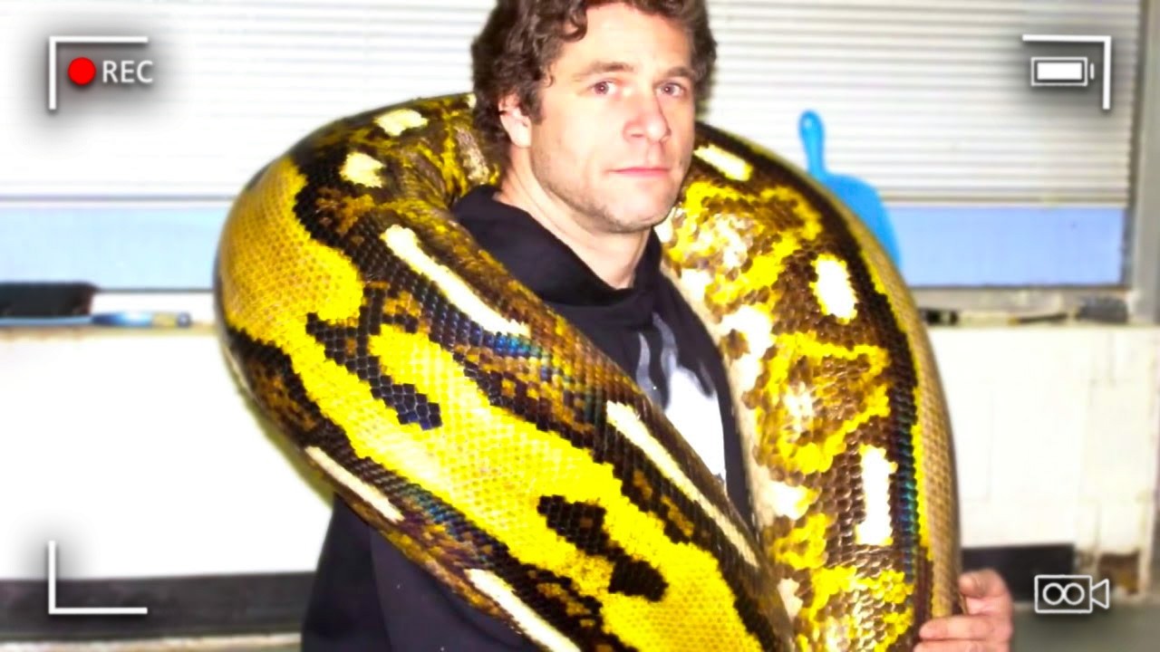 Police Horrified By What They Found Inside the Python
