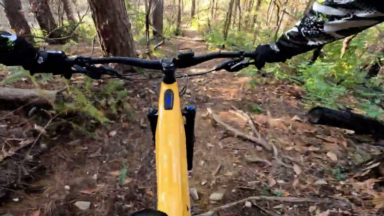 E-MTB Giro di circa 60 km nel Parco del Ticino