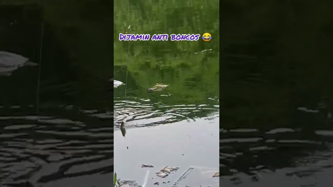 kail jangkar, mancing anti boncos