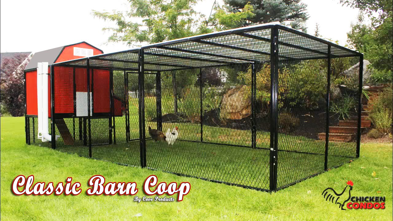 Classic Barn Chicken Coop Build