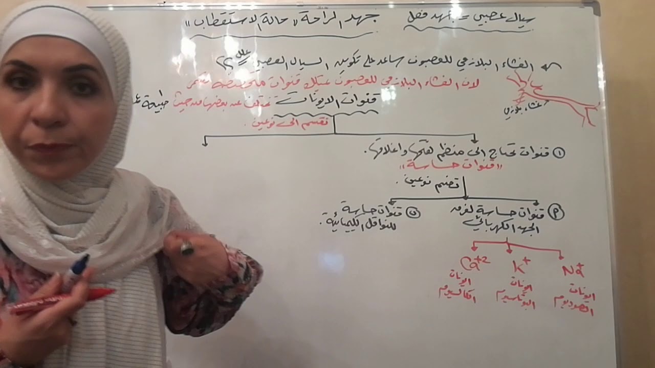 توجيهي/ سيال/ جهد الراحة(حالة الاستقطاب)
