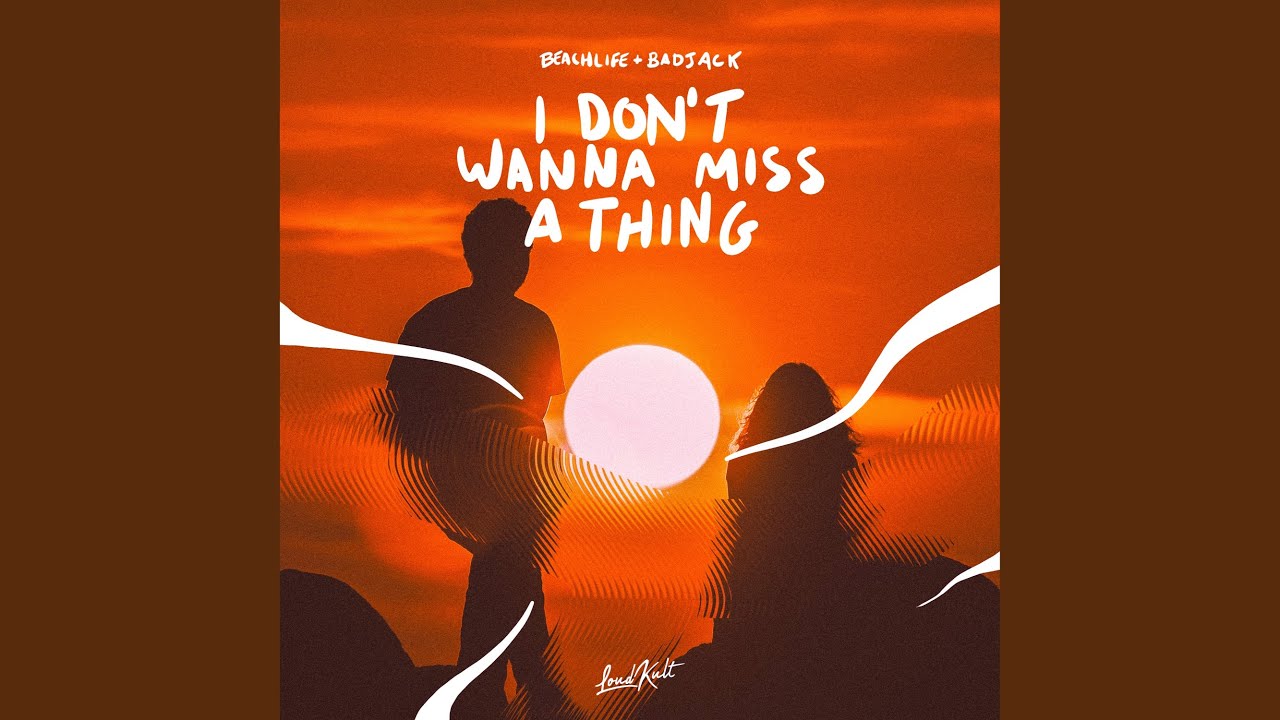 I Don't Want To Miss A Thing