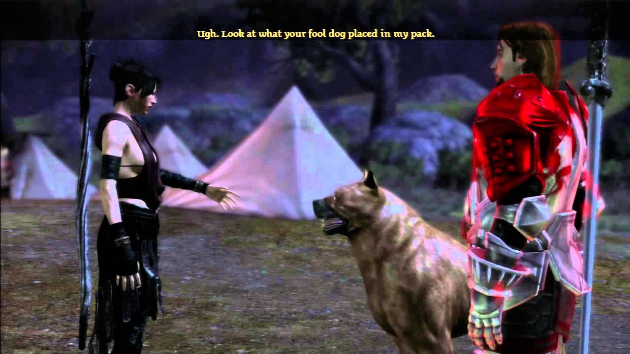 Dragon Age Origins: All Dog Conversations At Camp
