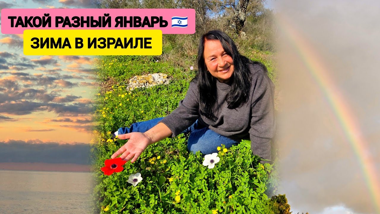 ШОК-ЯНВАРЬ В ИЗРАИЛЕ. Купаемся в море и мерзнем от ветров! 🇮🇱