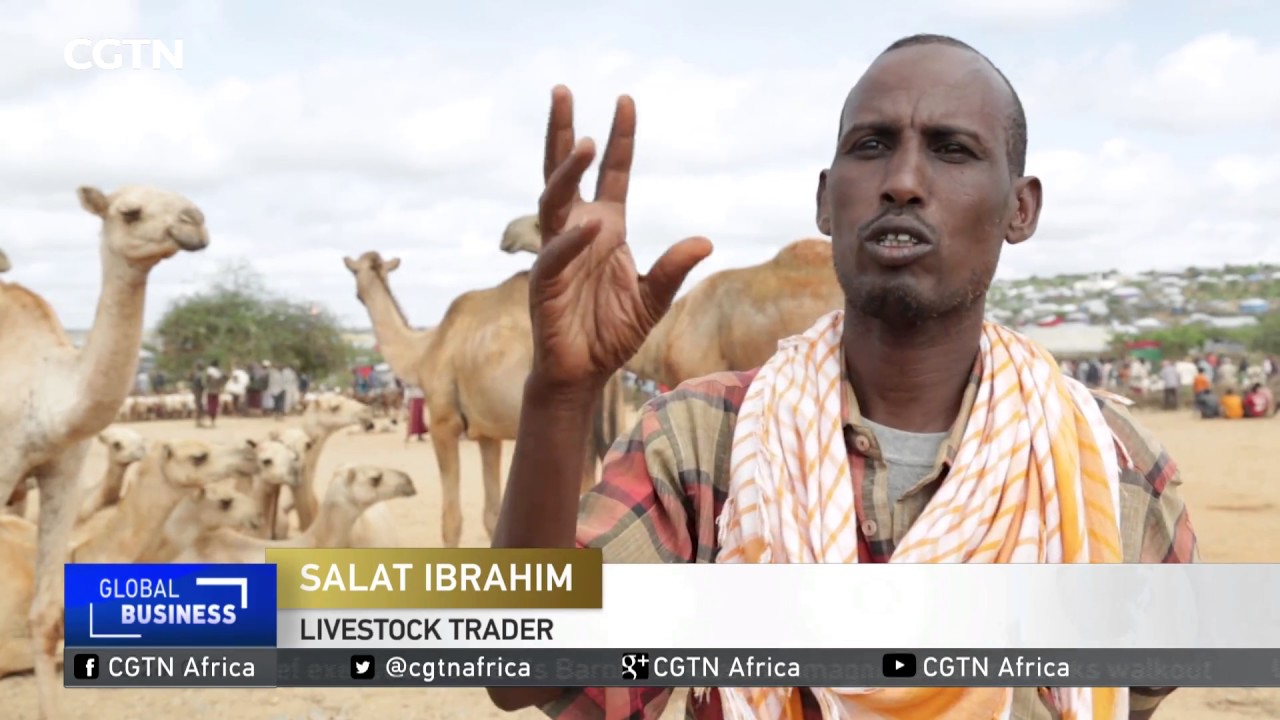 Somali nomads work to get back on their feet ahead of Ramadhan