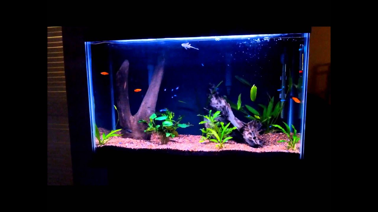 Saketron's Entry for Gregjonesonline #DIYDouble 2,000 Subscriber Contest