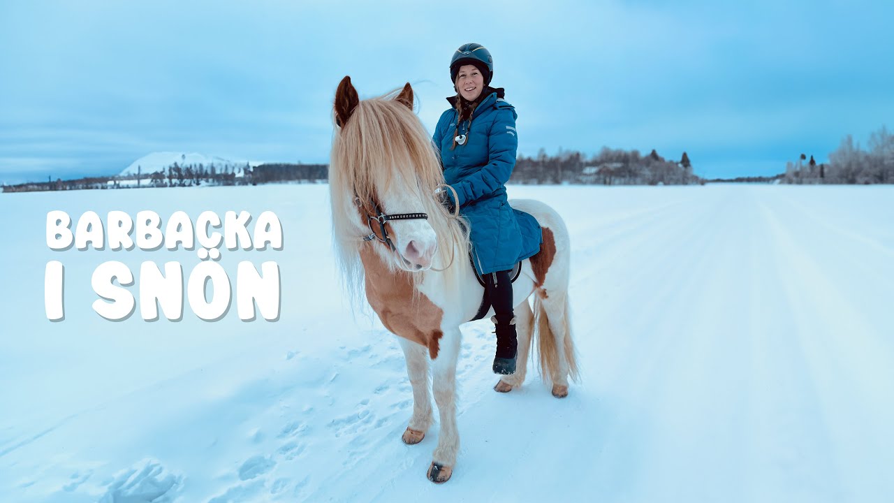 Rider ut barbacka i snön