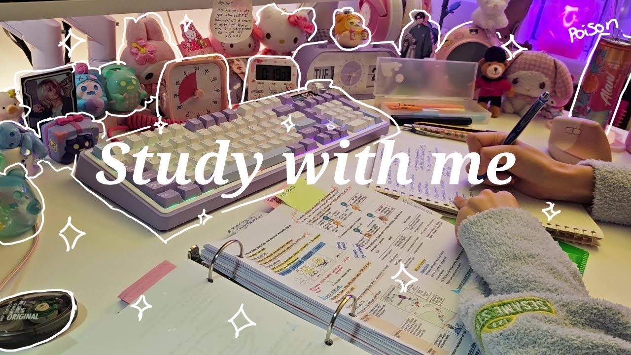 Study with me for 1 hour | it's gonna be daijoubu✨| white noise, no bgm