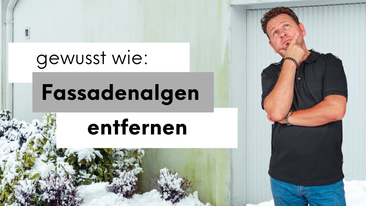 Algen an der Fassade - Wie wirst du diese los?