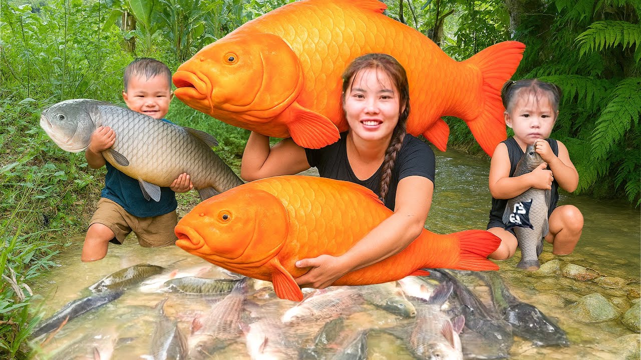 How to Catch giant carp and catfish by BARE hand in the wild to sell at market - Cook fish for baby