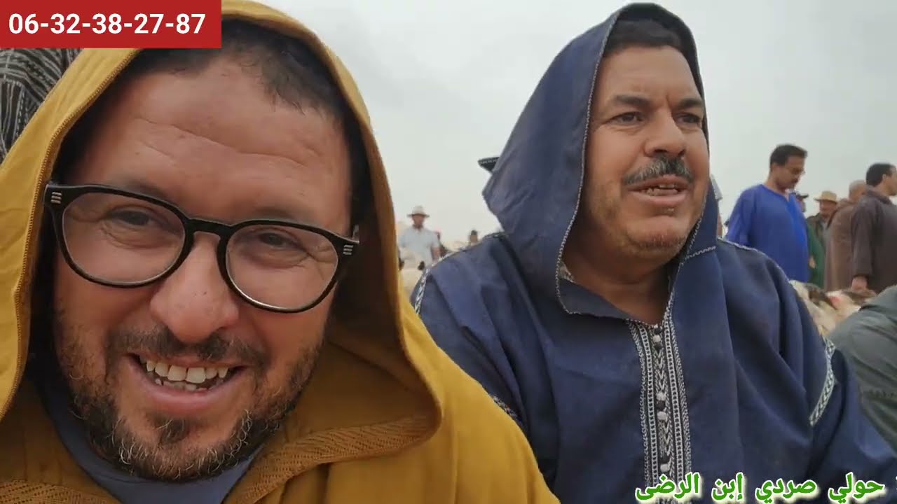 تقديت 21 خروف صغير  وتقديت 18 خروفة و9 حوالا راس سوق من البروج بتاريخ/3/8/25 فرجة ممتعة 