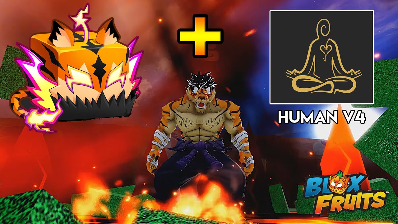 *NEW* Tiger Fruit + Human V4 =🐯🩸 ( blox fruits )