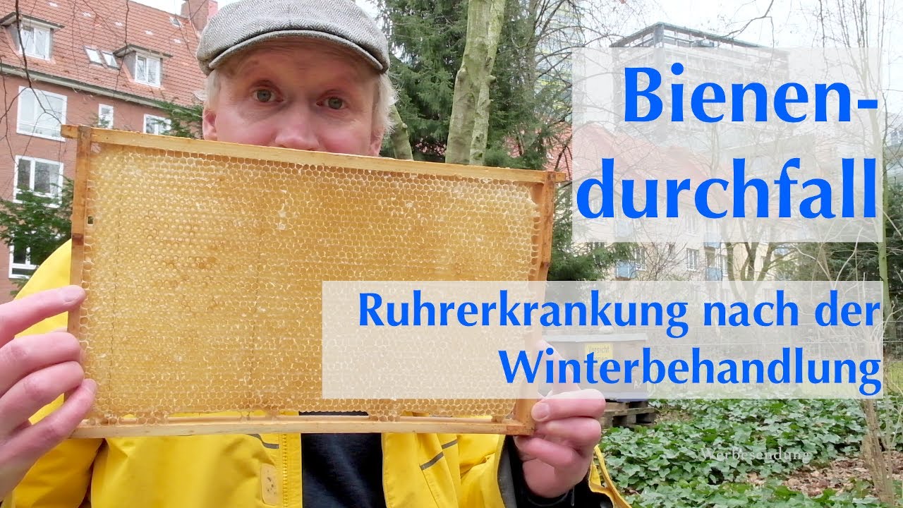 Bienendurchfall nach der Winterbehandlung