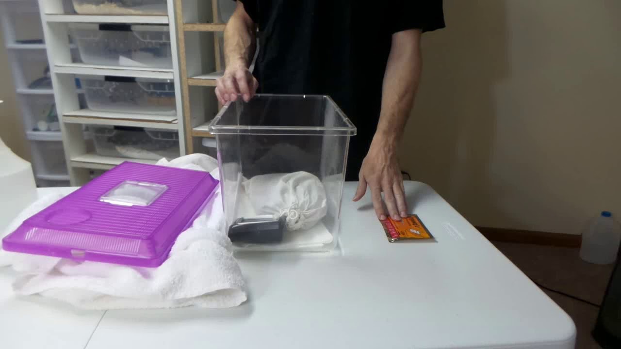 How To Transport A Snake to a Vet