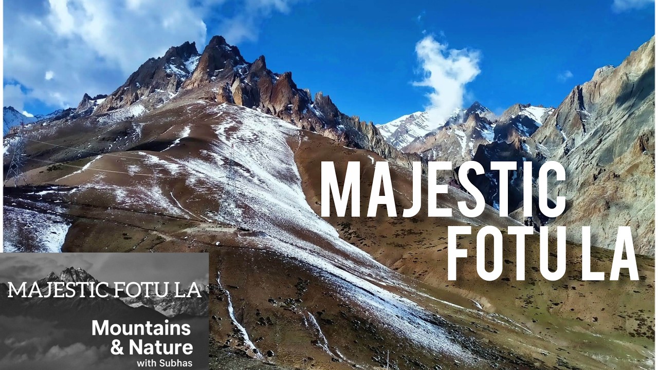 MAJESTIC FOTU LA