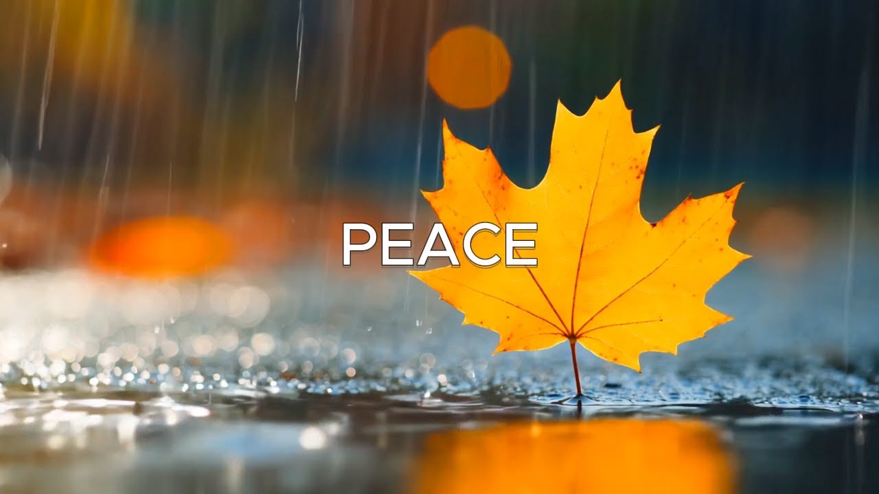 Chill Guitar Music for Work, Study & Inner Calm| SB Music