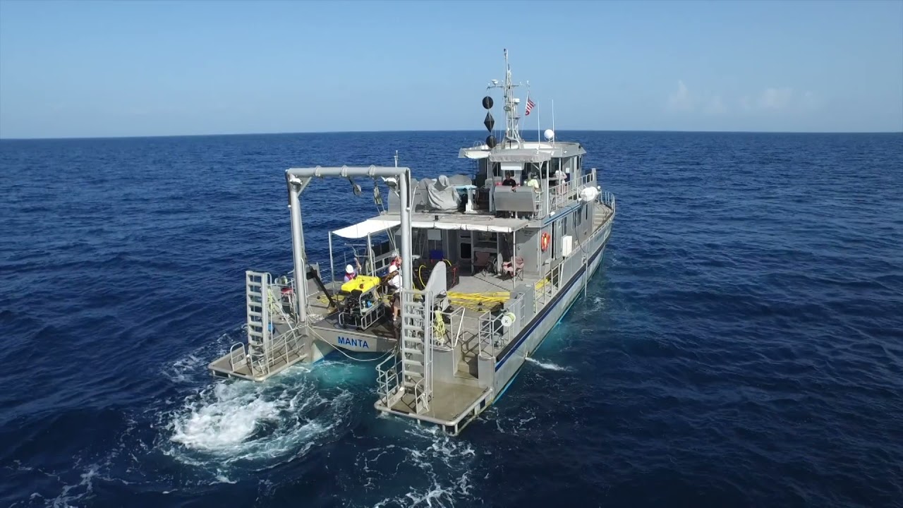 Celebrating Ocean Science for a Better World®: 50th Anniversary