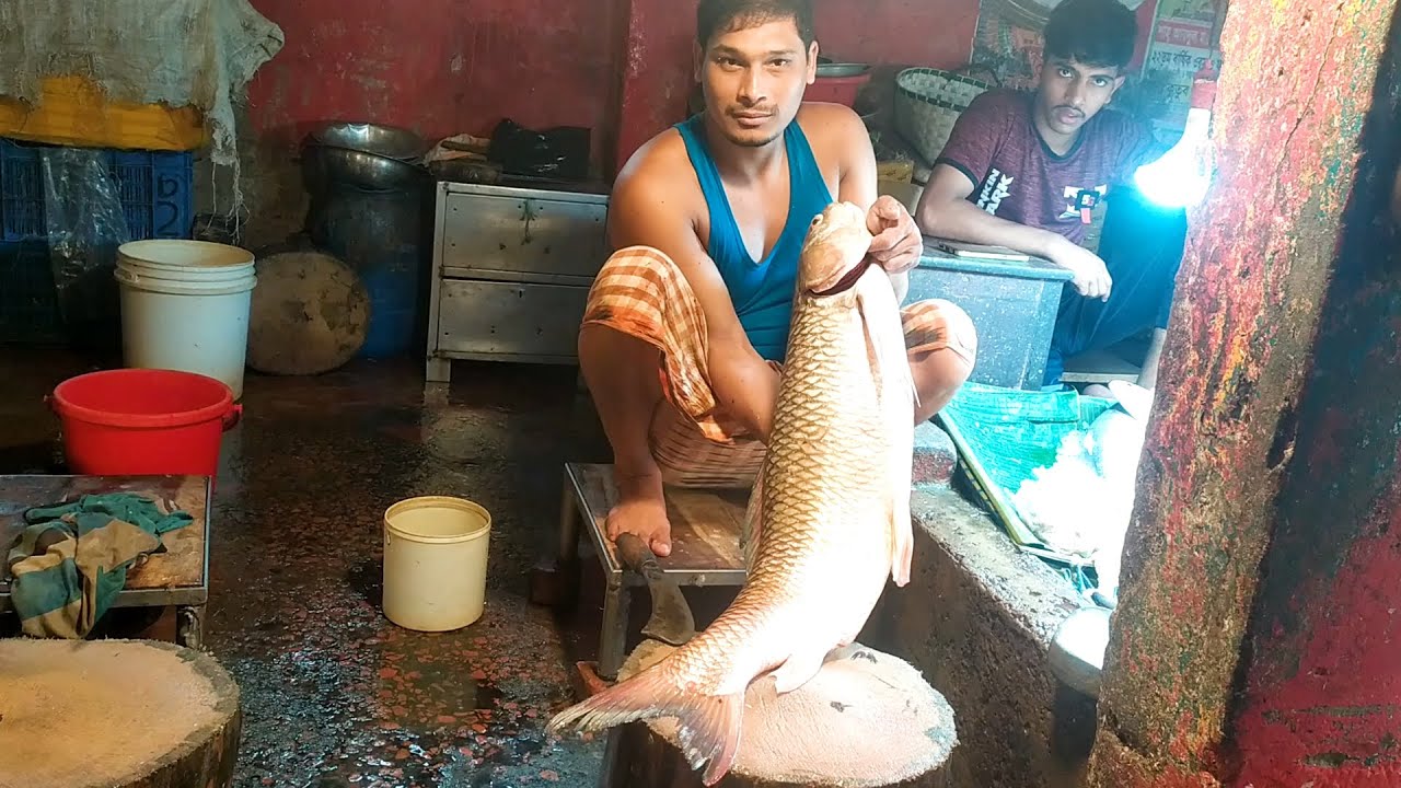 INCREDIBLE!! 12KG GIANT MRIGAL FISH CUTTING LIVE IN FISH MARKET | EXPERT CUTTER MAN