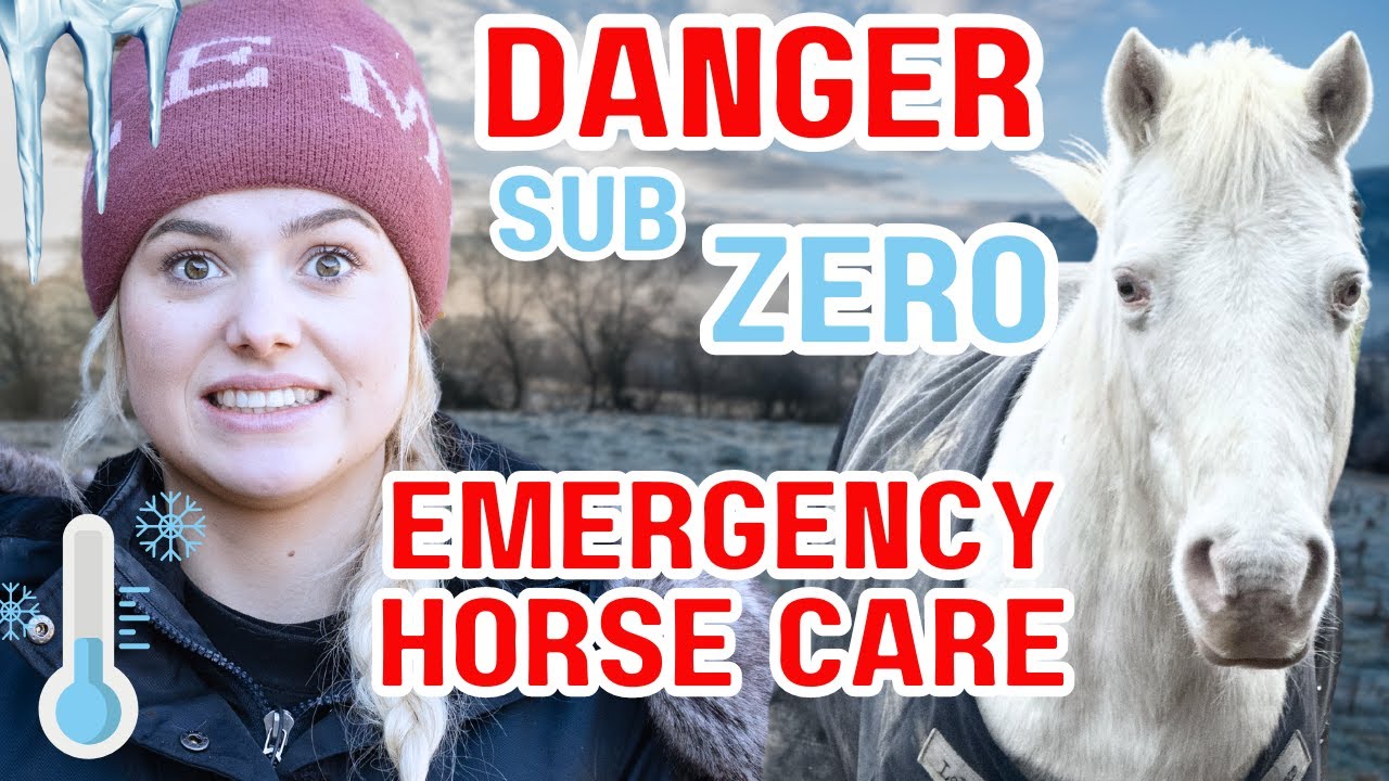 EMERGENCY WINTER HORSE CARE - This Esme