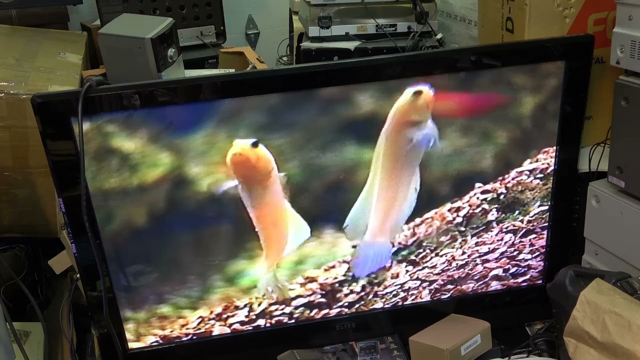JVC HRS9800 SVHS Needs an alignment and FPC repair